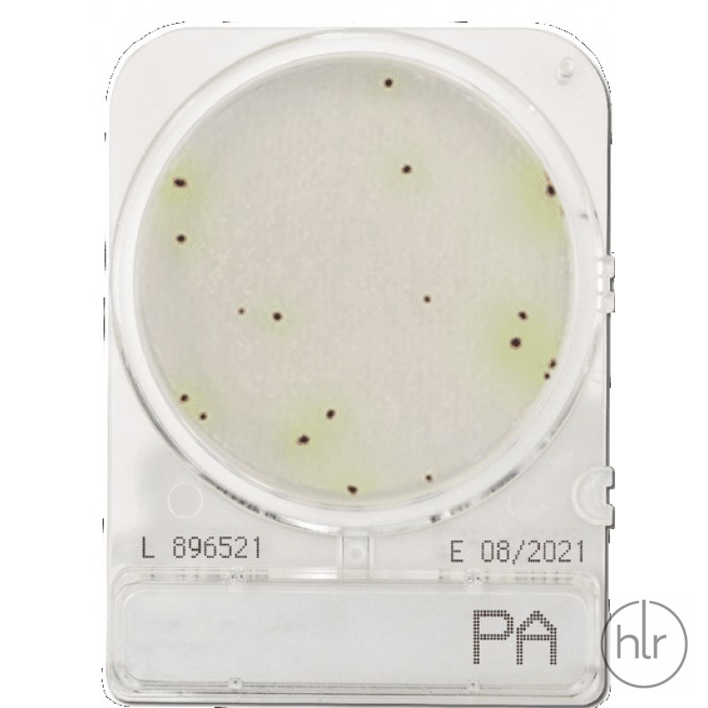 Среда микробиологическая Compact Dry PA Pseudomonas aeruginosa 40 шт/уп